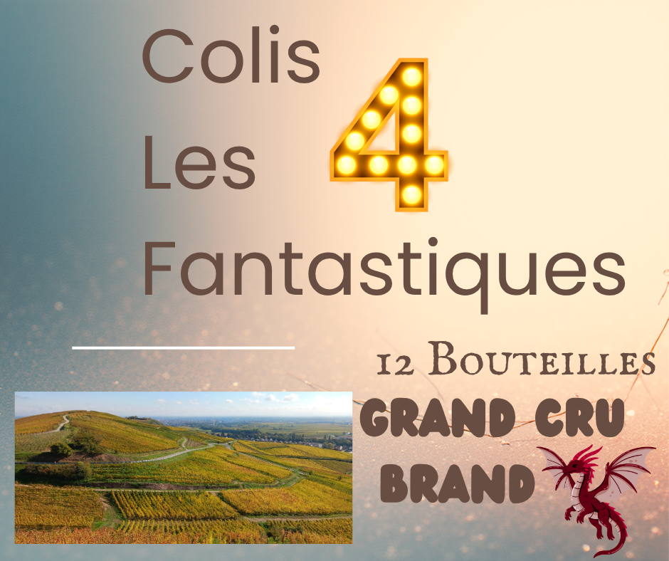 COLIS LES 4 FANTASTIQUES